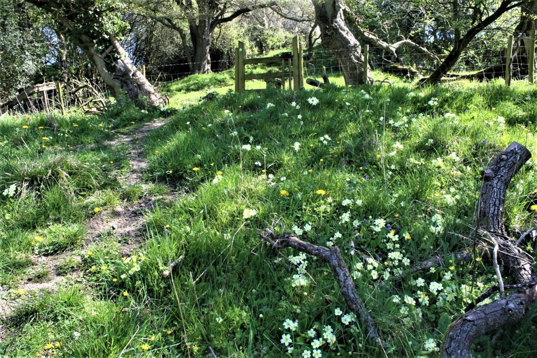 Tranquil Countryside Cottage For Two レクサム エクステリア 写真